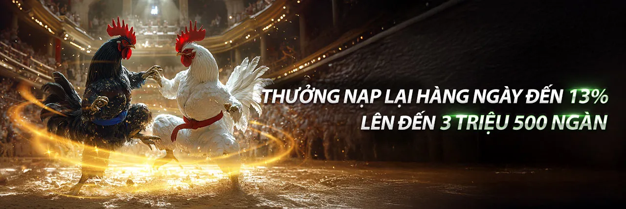 Xem Đá Gà Trực Tiếp Thơm - Trải nghiệm cá cược đỉnh cao 2026